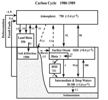 Hiilen kierto, Joosin mukaan